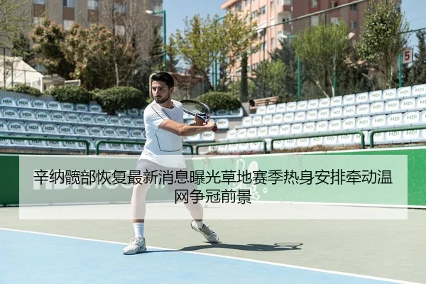 辛纳髋部恢复最新消息曝光草地赛季热身安排牵动温网争冠前景